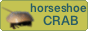 horse shoe crab site button