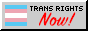 trans rights now button